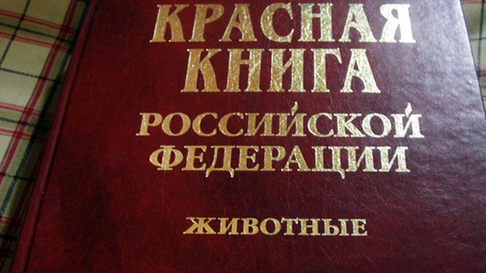 Красная книга Российской Федерации 2001