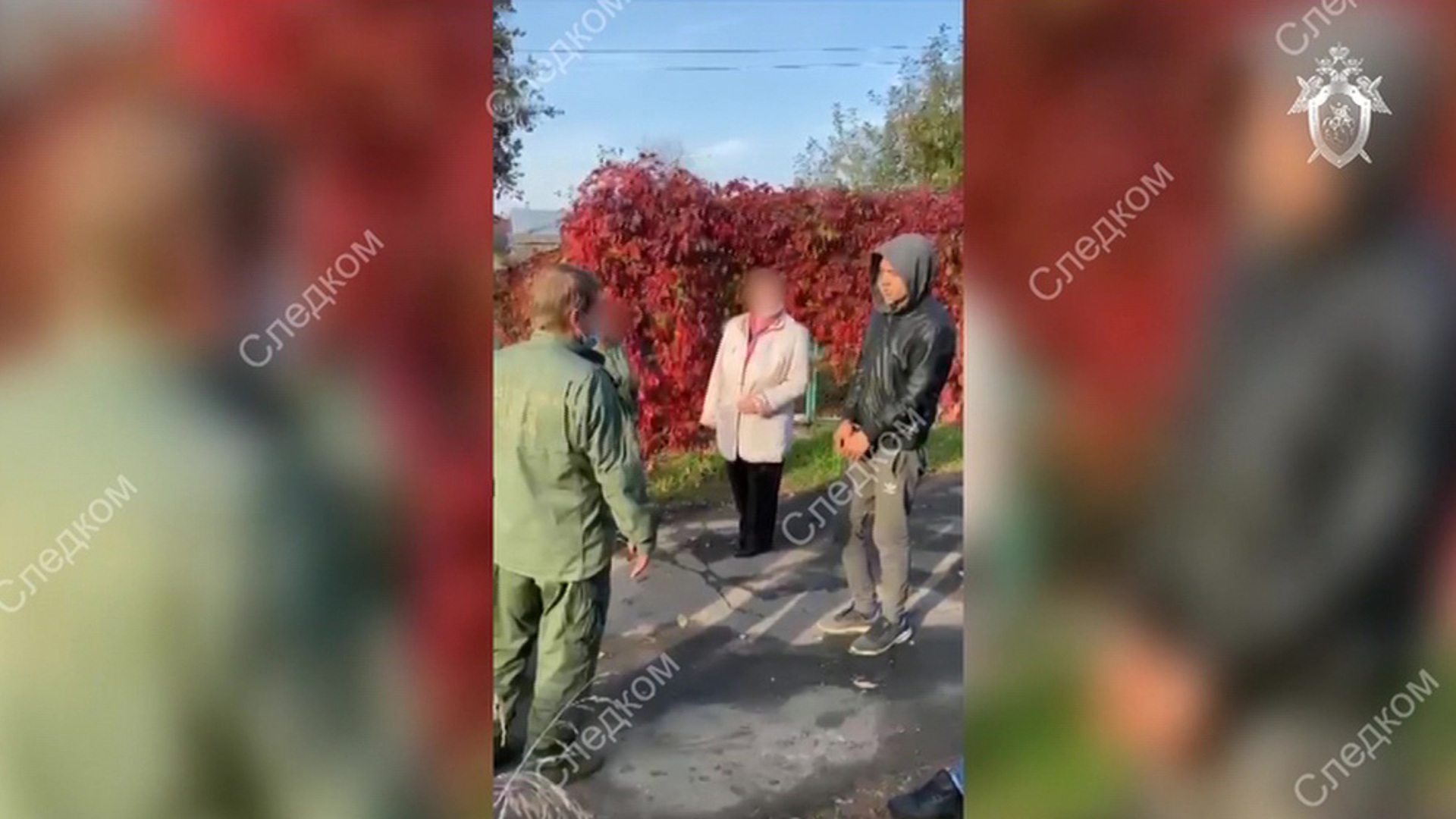 Убийство девушки в Домодедово