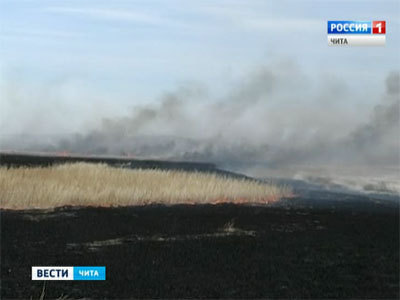 Около 900 спасателей и вертолеты тушат природные пожары в Забайкалье