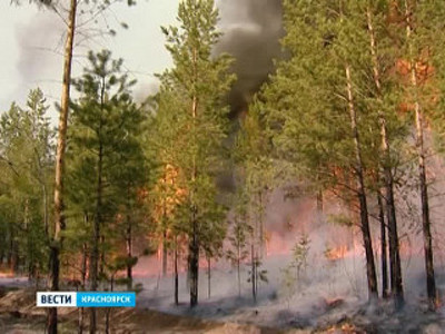 На севере края из-за лесных пожаров введен режим ЧС