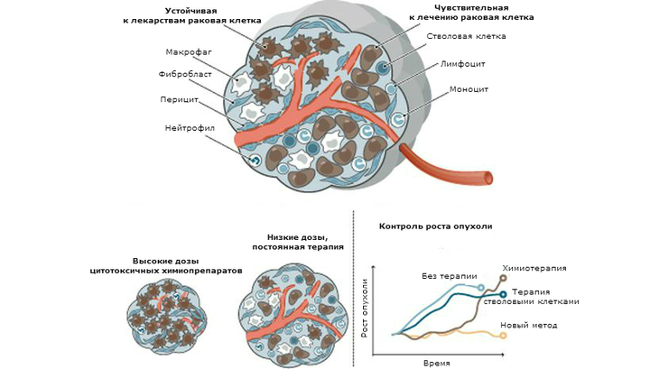 Раковая клетка рисунок