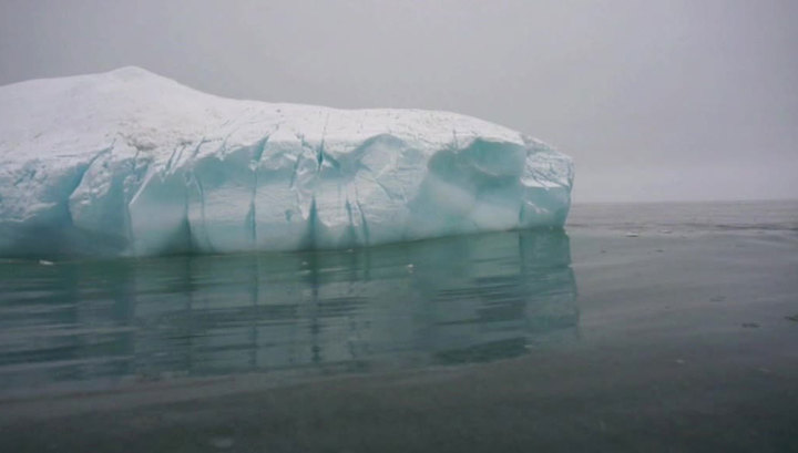 Смерть среди айсбергов: два человека погибли на американской станции в Антарктиде