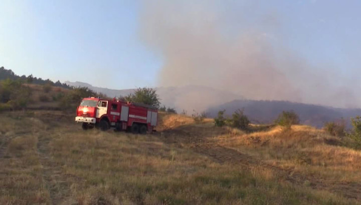 Крупный лесной пожар потушен в Ульяновской области