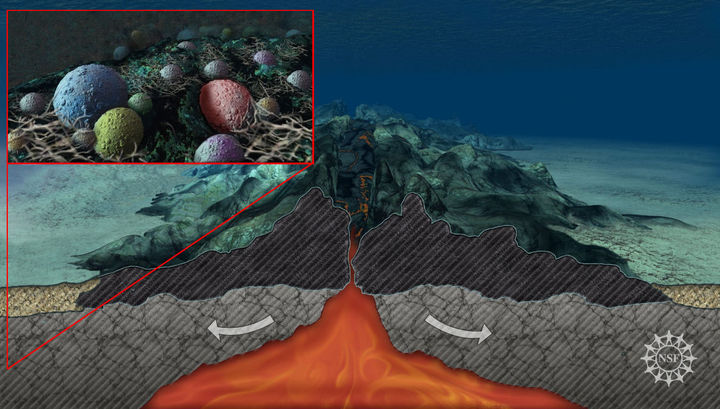 Микробы подводных вулканических хребтов обедают 