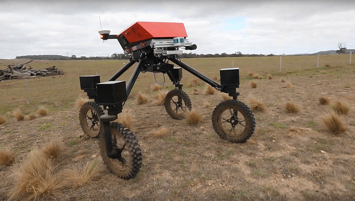 В Австралии сделали робота для прополки полей