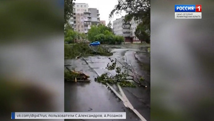 Жители Ленобласти расчищают дороги и огороды после урагана