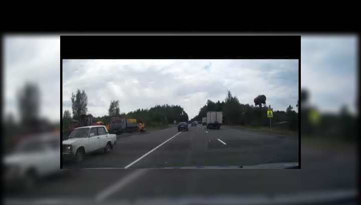 Погоня за пьяным водителем началась в Костромской области, а закончилась в Ивановской