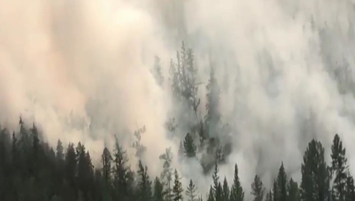 Красноярский край получит 733 миллиона на борьбу с лесными пожарами