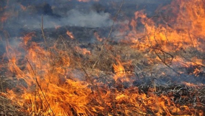 В Новосибирской области площадь природных пожаров превысила 6 тысяч гектаров