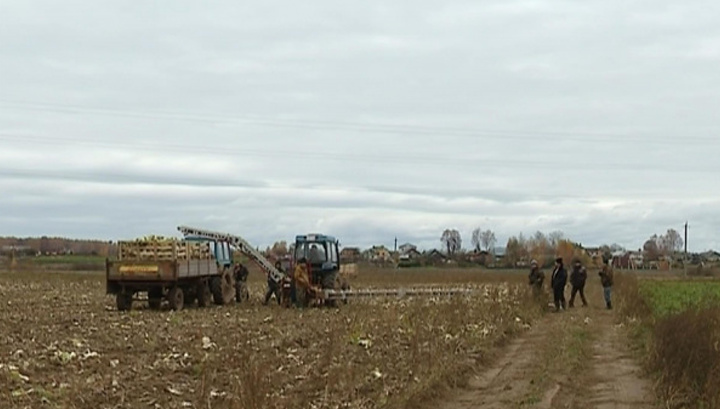 В Костромской области дожди затопили урожай на тысяче гектаров