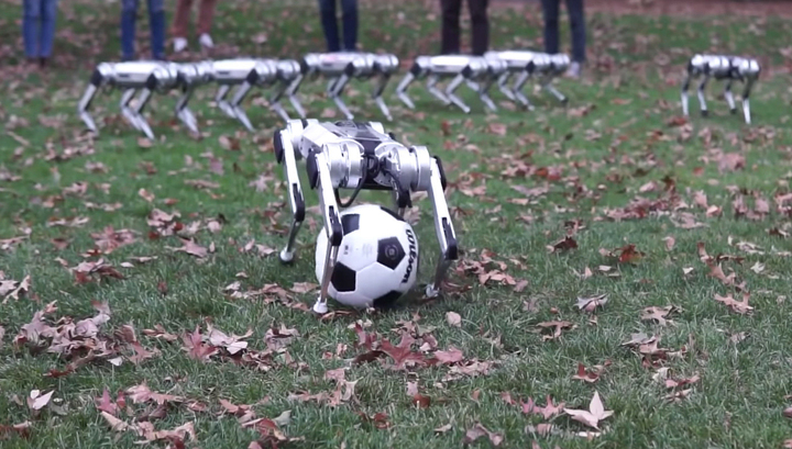 Команда четвероногих роботов провела футбольную тренировку: видео
