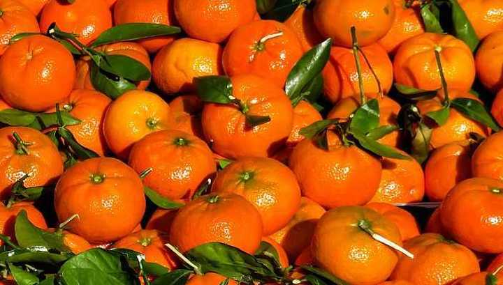 Более 650 тонн опасных овощей и фруктов обнаружили с начала года на Кубани