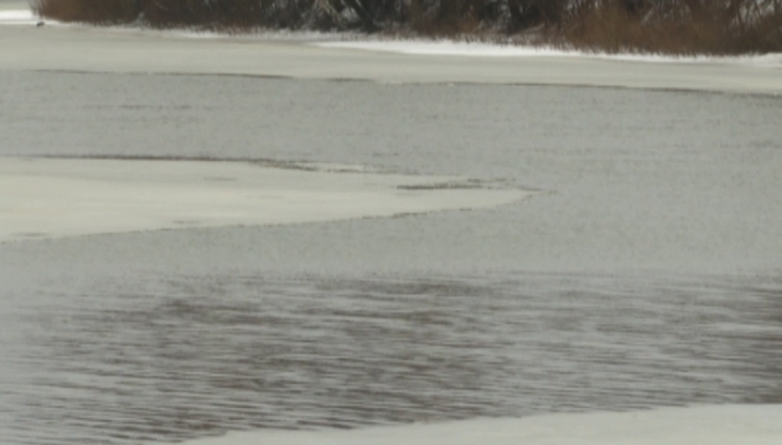 На реке Пахме ярославец вытащил из ледяной воды соседа и его собаку