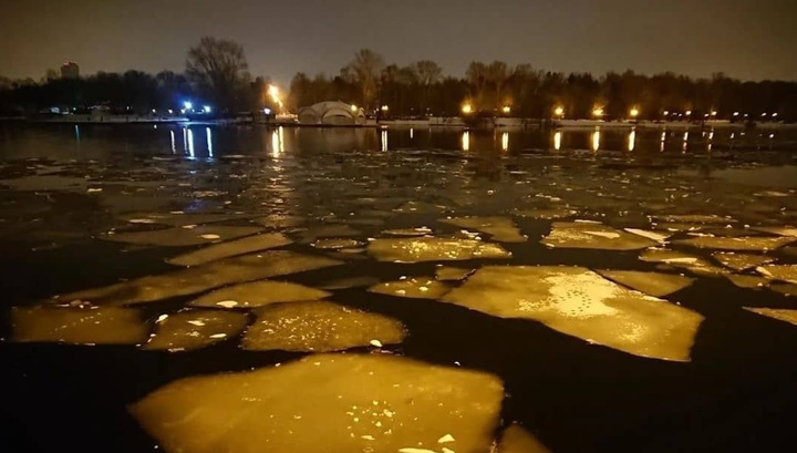 Женщина, выгуливавшая собаку, провалилась под лед на Москве-реке