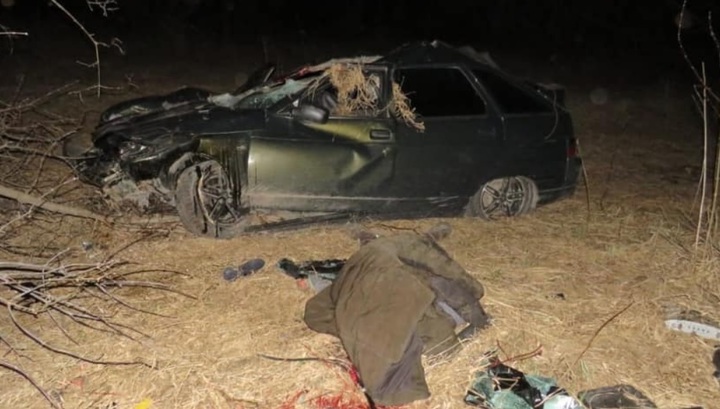 Погибший и пострадавшие: легковушка перевернулась после ДТП с лошадью в Башкирии