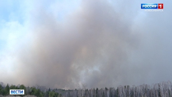 Неконтролируемые палы: в Новосибирской области горит 200 тысяч га леса