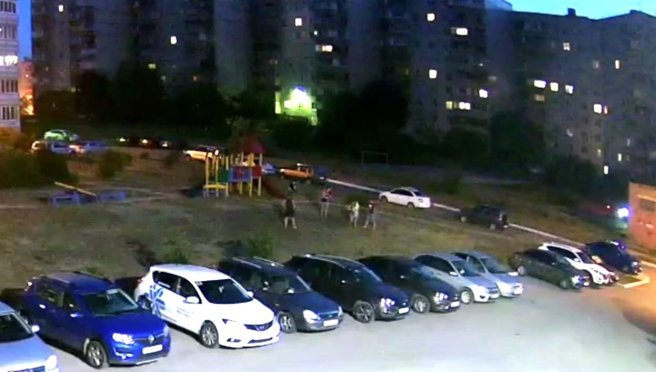 Стая бездомных собак набросилась на детей в Тольятти. Видео