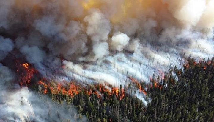 В Бурятии с лесными пожарами сражаются более 600 человек