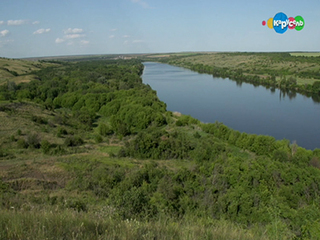 В мире животных. РОСТОВСКИЙ ЗАПОВЕДНИК