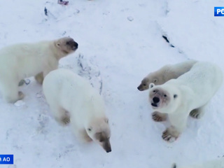 Вести недели. Эфир от 06.12.2019 (14:00)