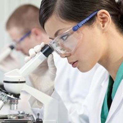 Глобальная конкуренция смещается в область науки, образования Глобальная конкуренция смещается в область науки, образования