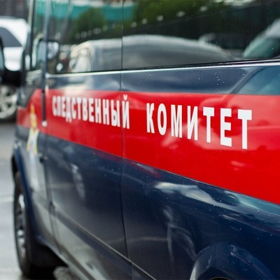 Задержаны директор и педагог детского центра в Лобне после гибели ребенка Задержаны директор и педагог детского центра в Лобне после гибели ребенка