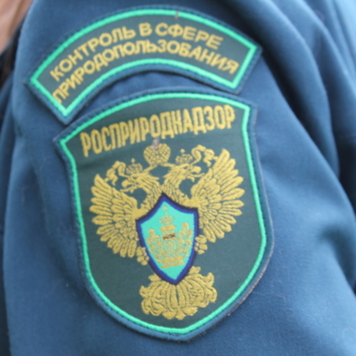 Росприроднадзор начал проверки российских золотодобывающих компаний Росприроднадзор начал проверки российских золотодобывающих компаний