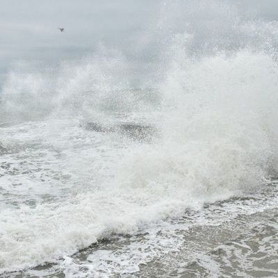 Морскую воду в Ялте проверят на холеру Морскую воду в Ялте проверят на холеру
