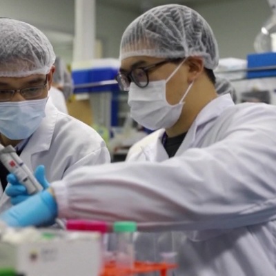 В Китае открыли моноклональное антитело, нейтрализующее все штаммы коронавируса