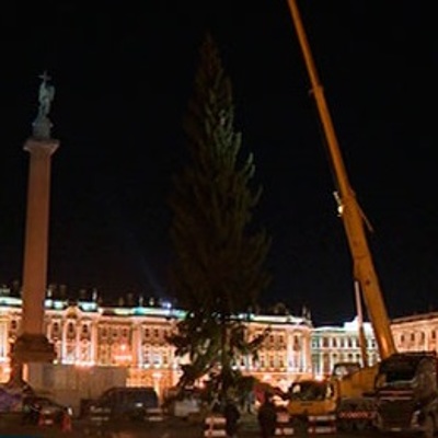 Главную новогоднюю ель Санкт-Петербурга доставили на Дворцовую площадь Главную новогоднюю ель Санкт-Петербурга доставили на Дворцовую площадь