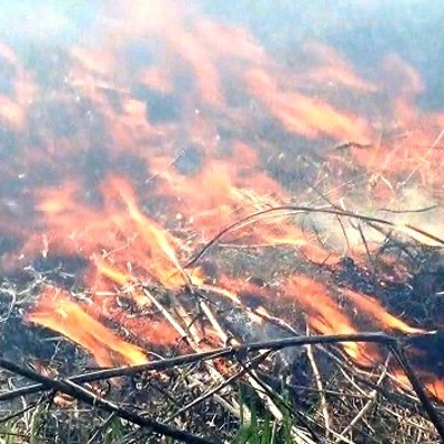 Площадь лесных пожаров в Югре за сутки выросла почти на 130 гектаров Площадь лесных пожаров в Югре за сутки выросла почти на 130 гектаров