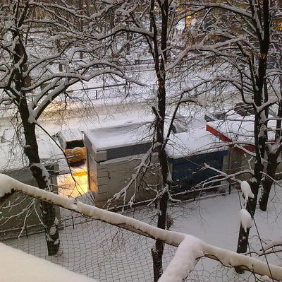 В Измайловском парке Москвы из-за упавшего дерева погиб мужчина В Измайловском парке Москвы из-за упавшего дерева погиб мужчина