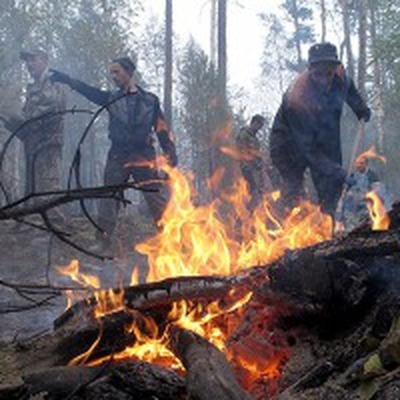 Массовые нарушения в предупреждении лесных пожаров выявила в Приморье краевая прокуратура Массовые нарушения в предупреждении лесных пожаров выявила в Приморье краевая прокуратура
