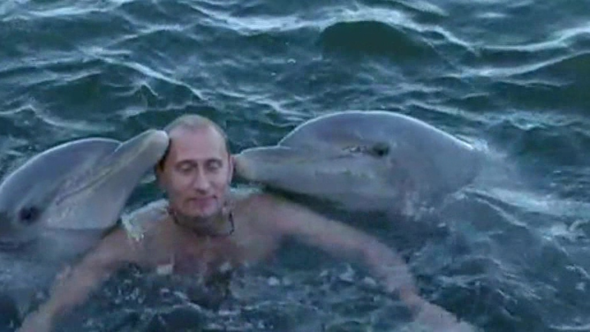 Путин и дельфины