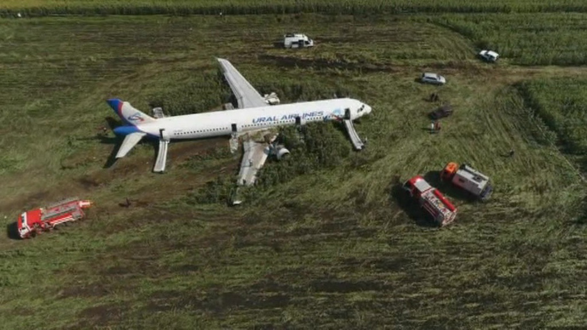 Полет самолетов сейчас. Аварийная посадка a321 под Жуковским. На кукурузном поле Airbus a321. Уральские авиалинии аварийная посадка. Аварийная посадка а 330.