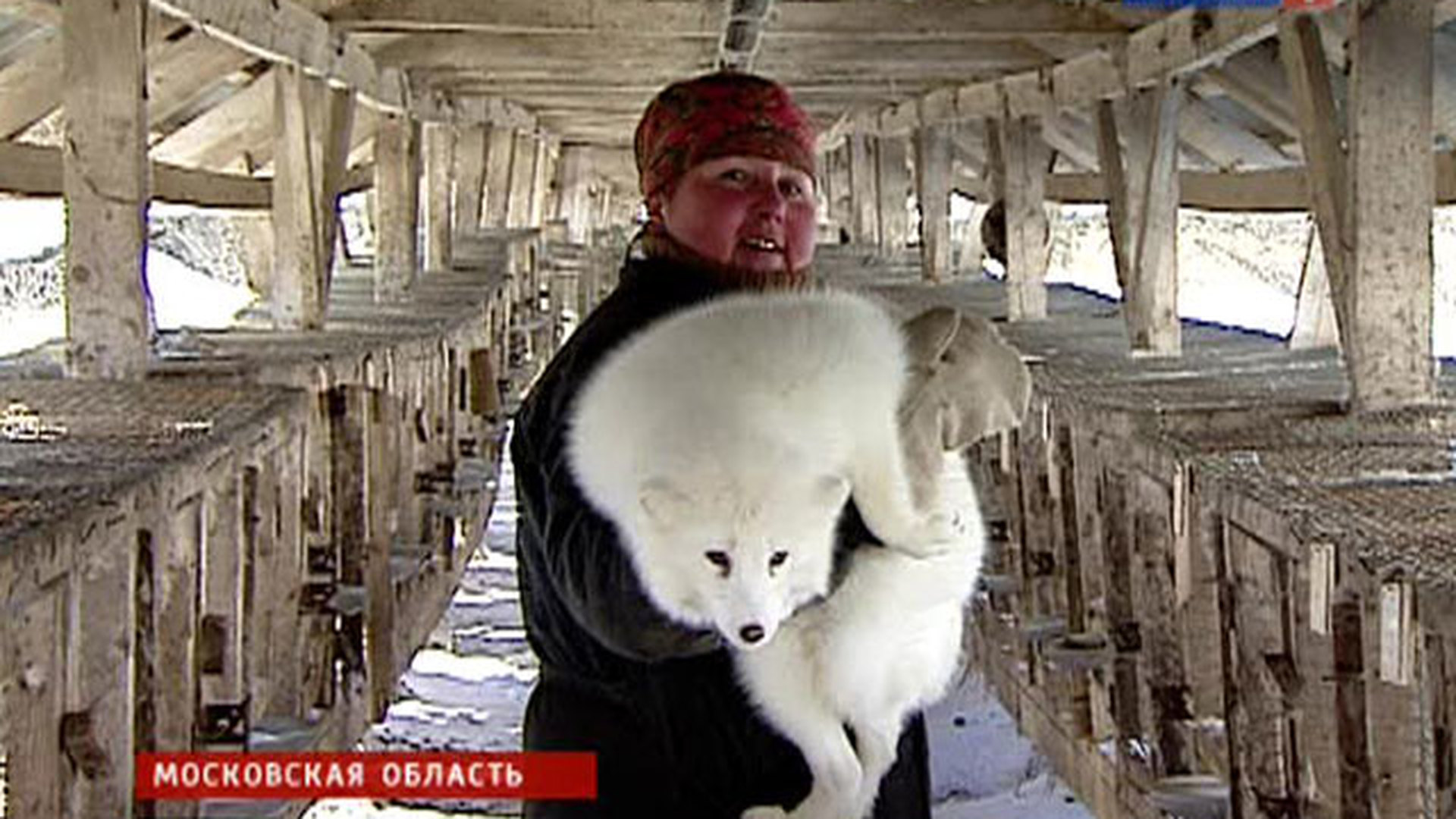 Звероферма Соколовский