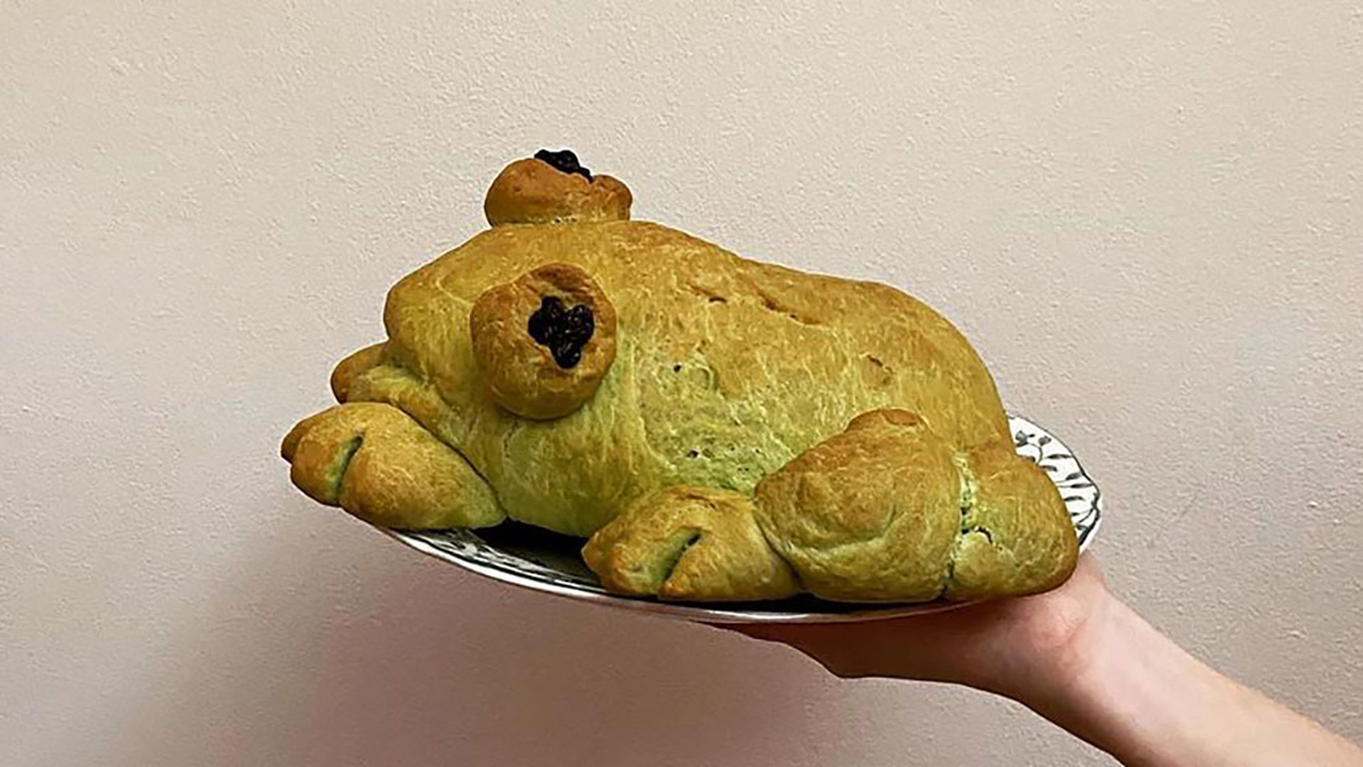 Хлебная жаба
