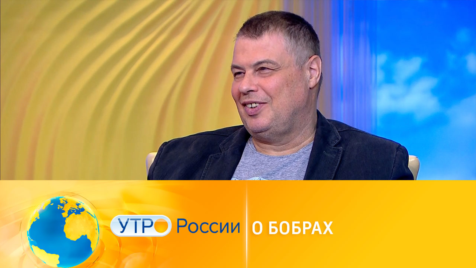 Ведущие бобра