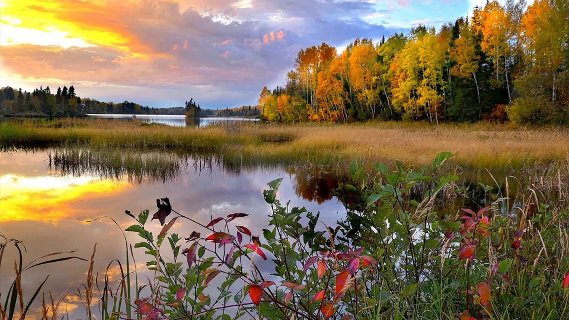 Осенний пейзаж с озером