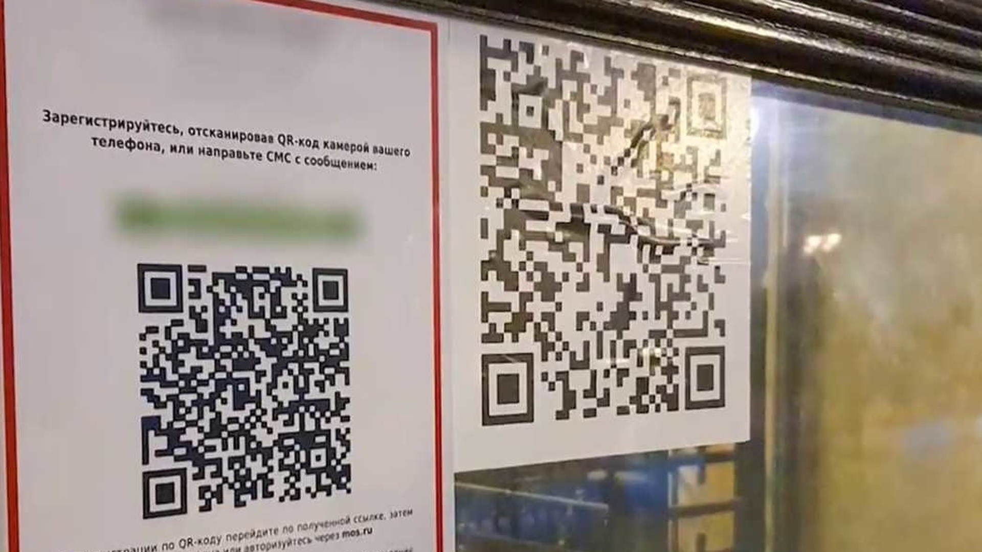 QR код для посещения кафе в Ростове на Дону