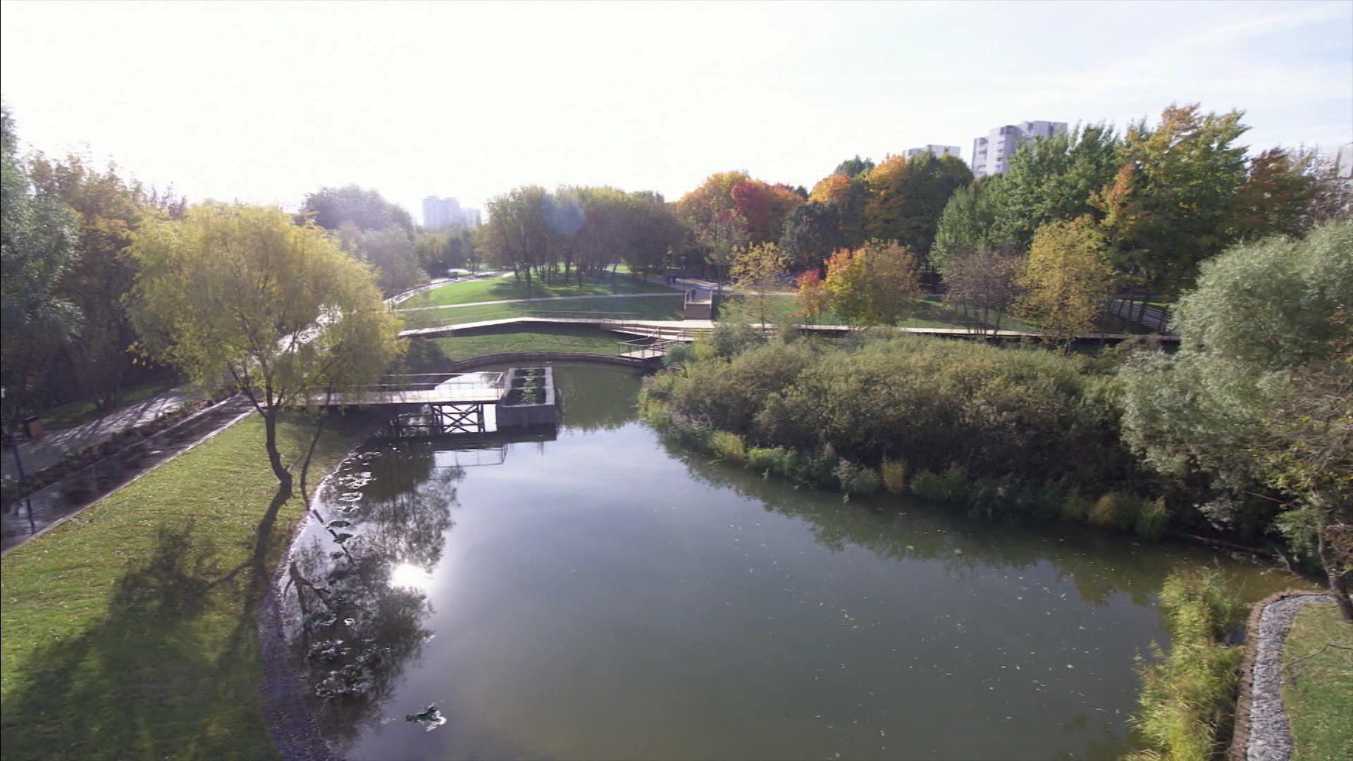 Сайт парка яуза. Парк Яуза в Москве. Парк Яуза водные растения. Гуси парк Яуза. Парк Яуза кафе.