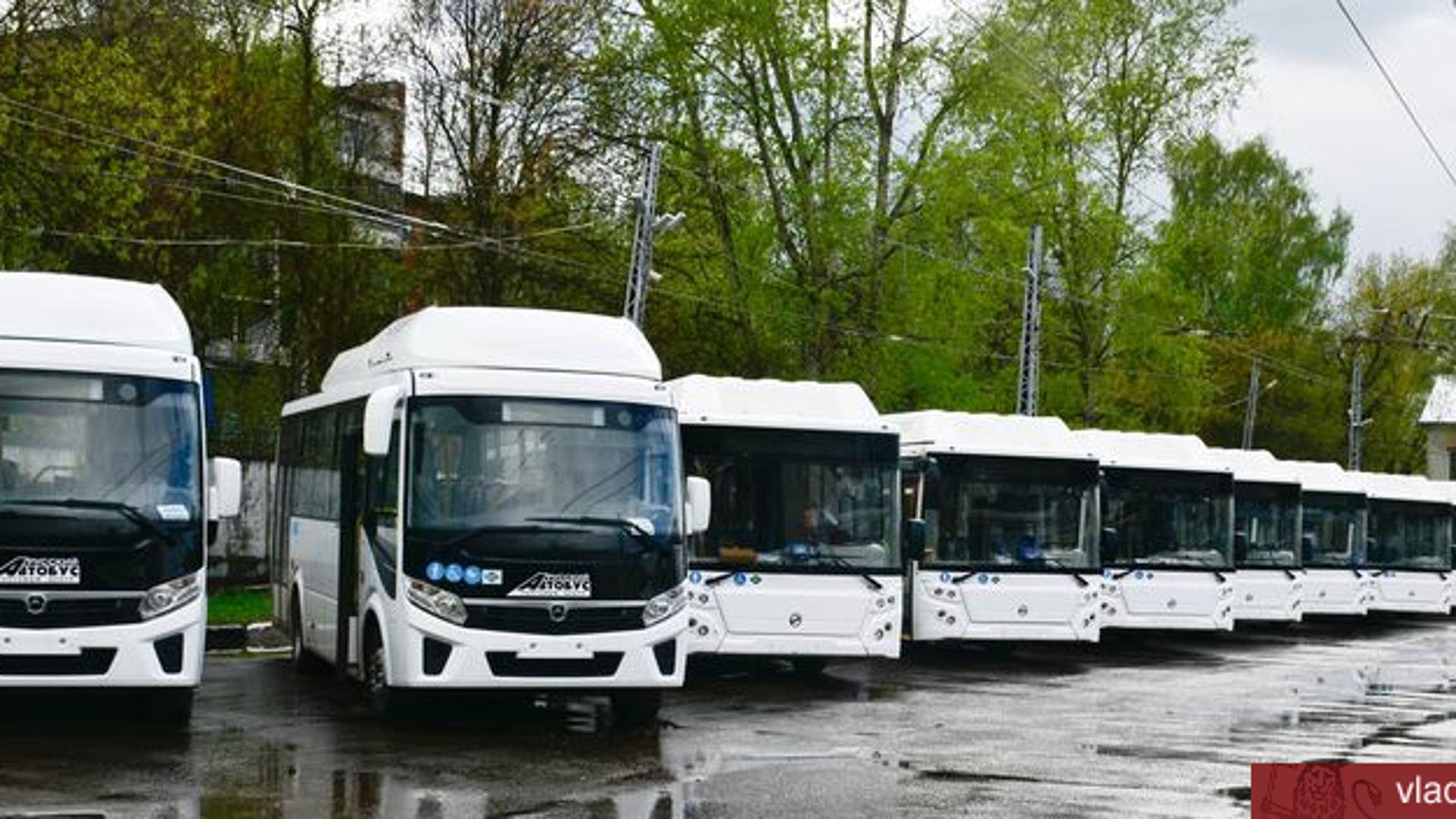 Средний автобус. Автобус Владимир ЛИАЗ 529267. Парк автобусов. Большой пассажирский автобус. Автобус пассажирский городской.