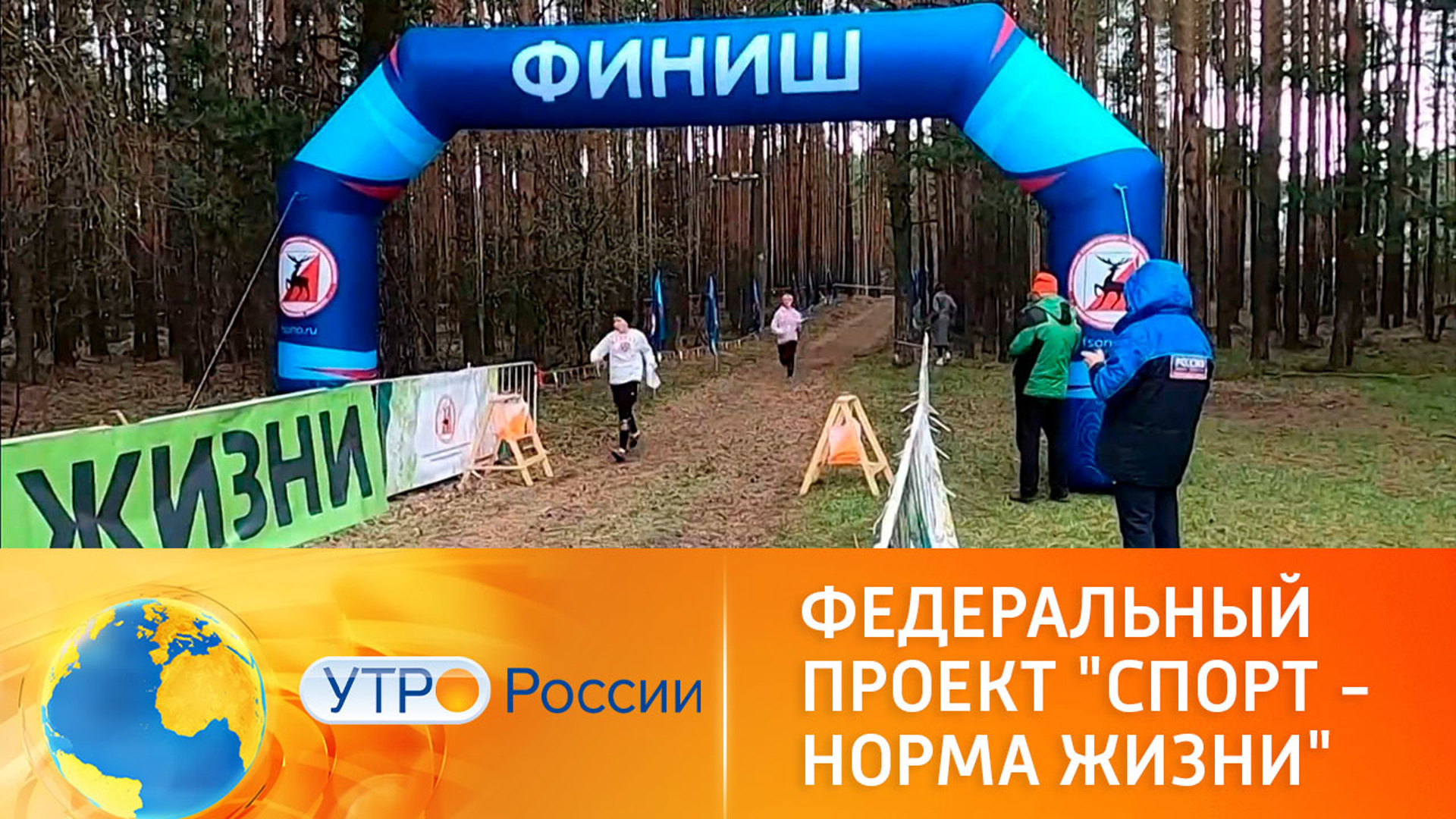 Спорт норма жизни федеральный проект