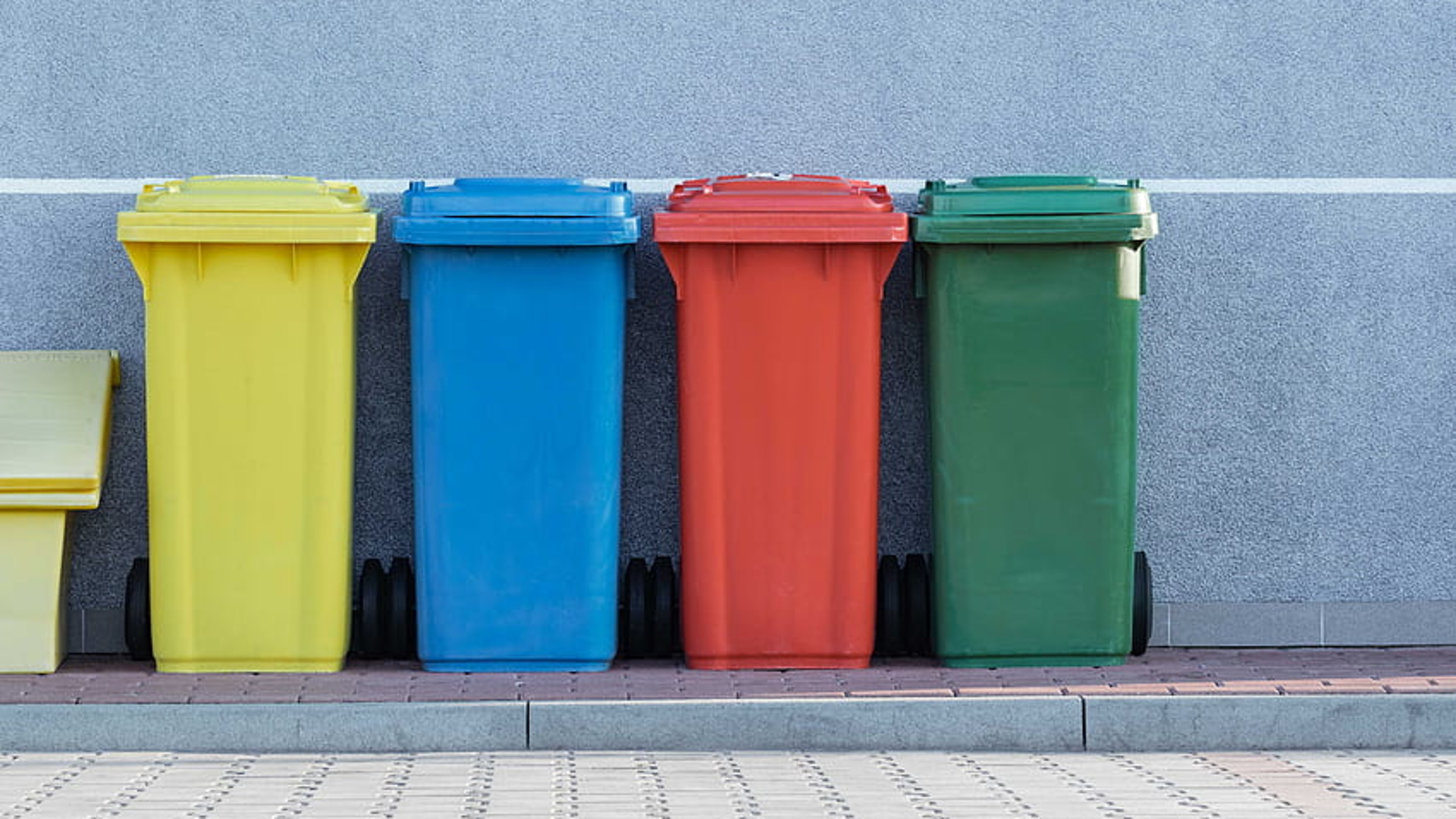 Разноцветные контейнеры для мусора