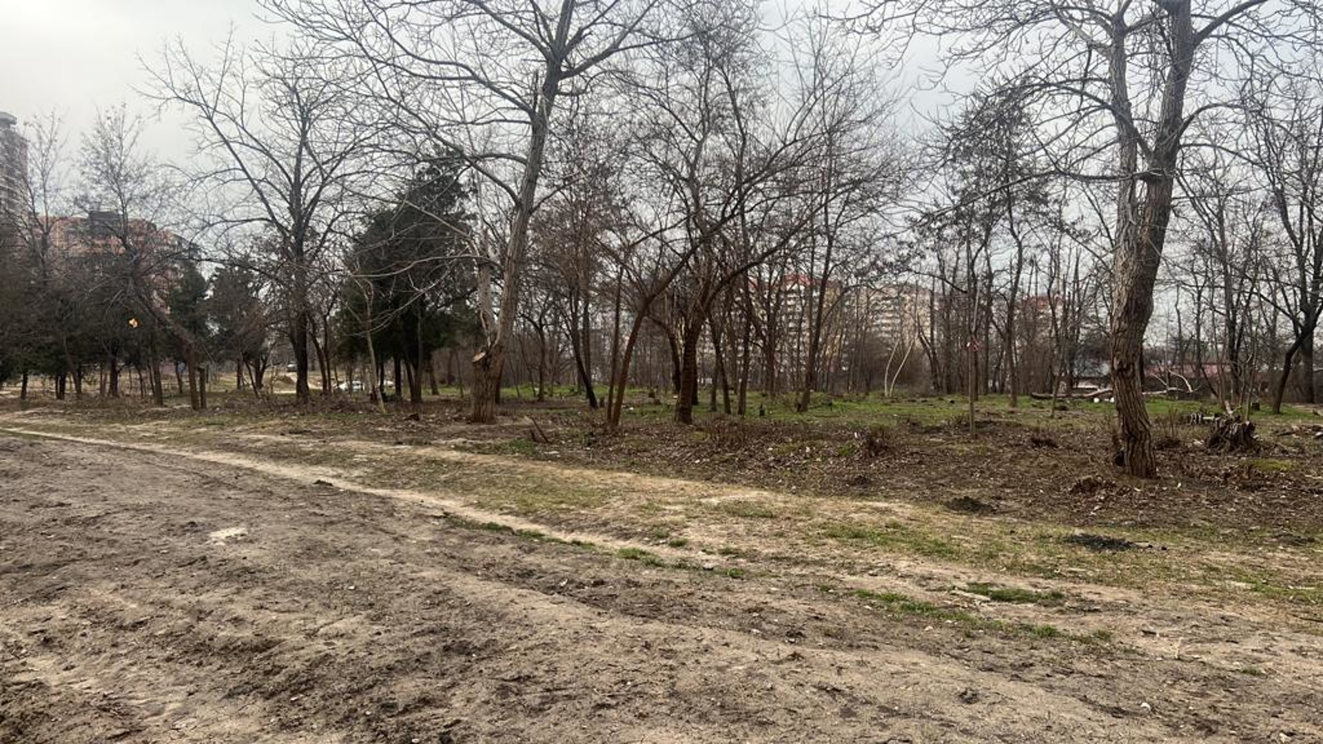 Николаевский бульвар краснодар проект
