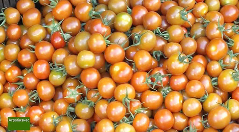 Агробизнес. Эфир от 12.12.2016