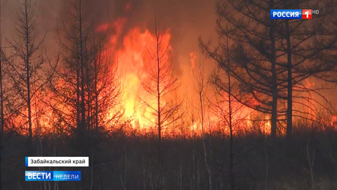 В Забайкалье огонь уничтожил более 11 тысяч гектаров леса