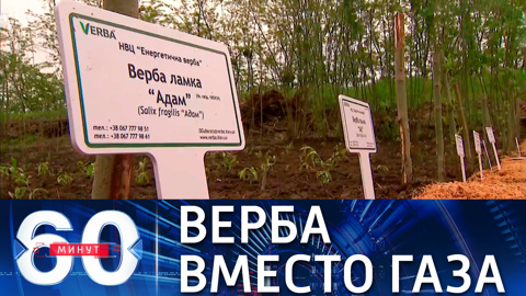 Энергетическое чудо Украины