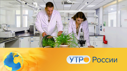 Утро России. Эфир от 12.07.2021 (09:30) 