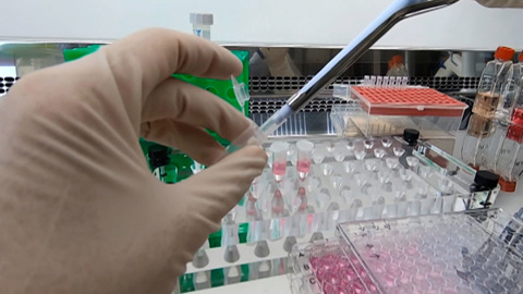 Опасный вирус. Гинцбург рассказал о трех препаратах от ковида